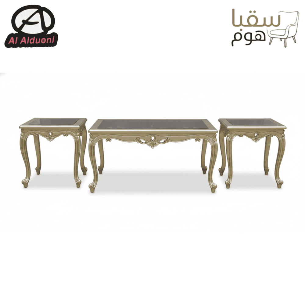 ⁦أريستو⁩ - الصورة ⁦4⁩