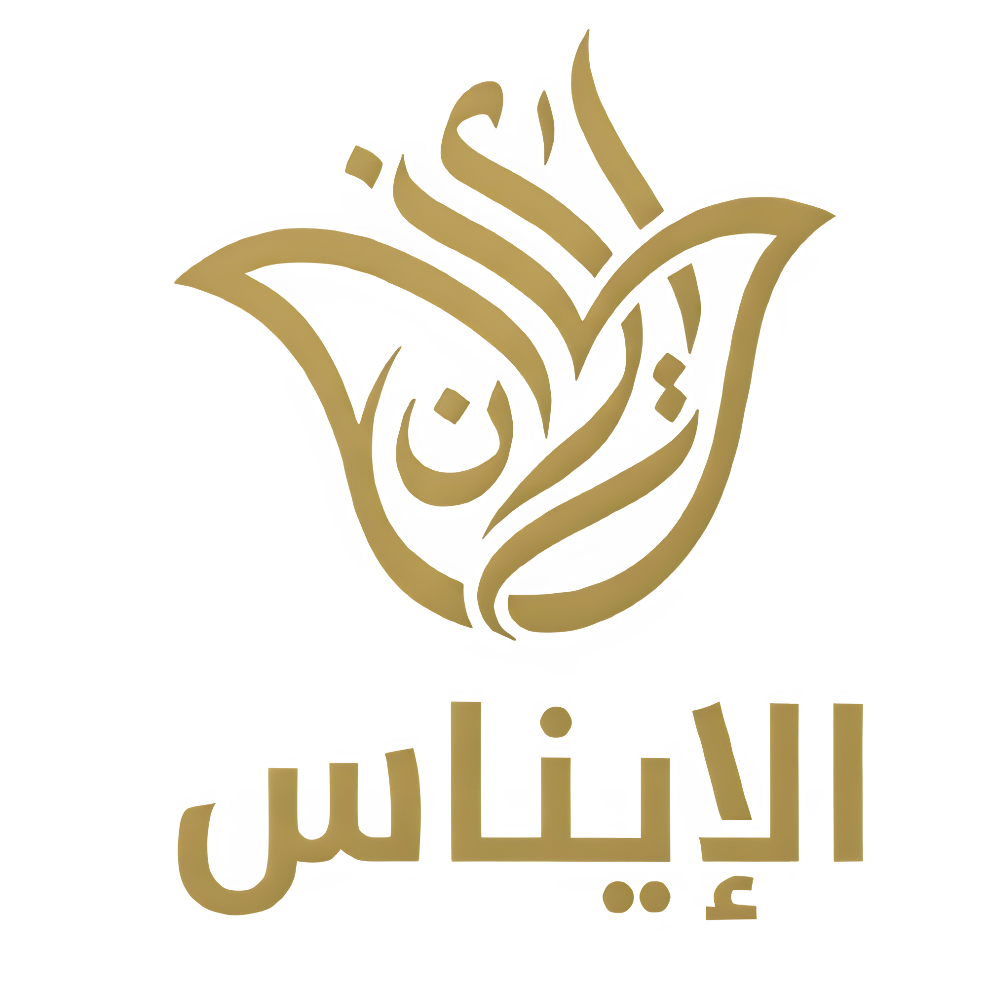 صالة الإيناس للمفروشات